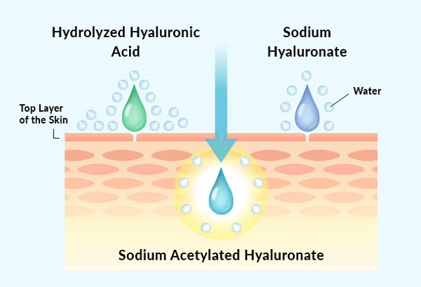 Sodium Acetylated Hyaluronate - Freshine Chem